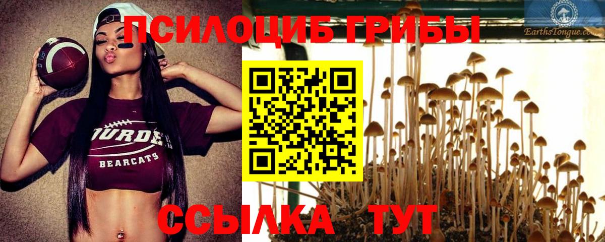 Галлюциногенные грибы ЛСД  Вход с VPN  Псилоцибиновые грибы GOLDEN TEACHER  Реутов 